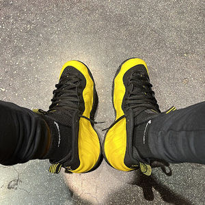 Meet your Posher, Dorian